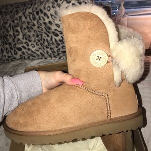 chestnut uggs